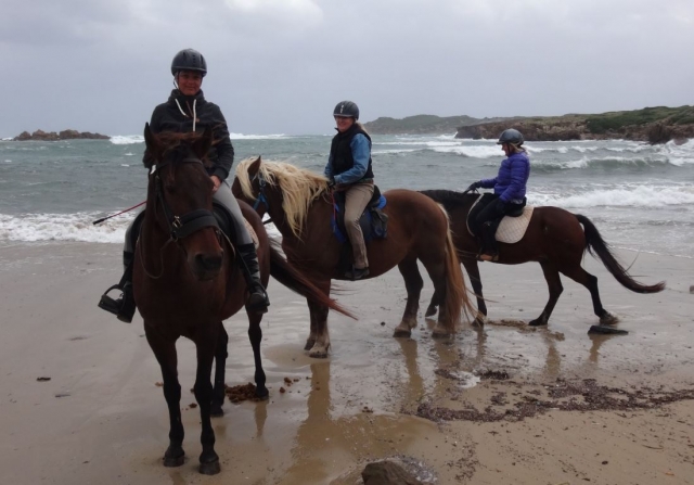 Caballos en el mar en Mahon